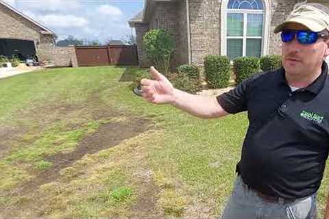 Recognizing Drainage Issues in Your Lawn