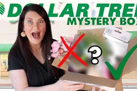 Everyone will be making these EASY Dollar Tree Decor DIYS | Mystery Box Challenge