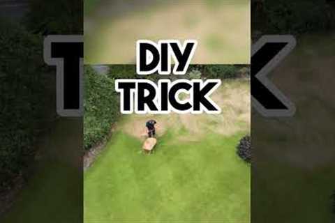 DIY lawn care at its best 💪