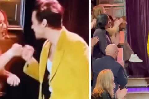 What Really Happened to Harry Styles Fan Who Appeared to Faint on Live TV After Fist-Bump