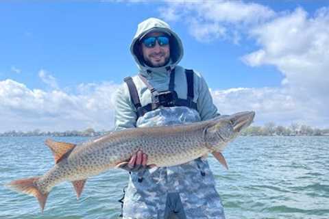 Using a smallmouth bass as bait on lake St Clair!!!