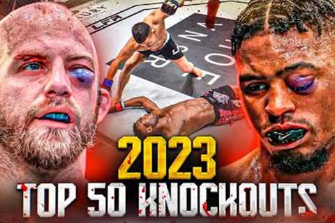 Top 50 Most Brutal Knockouts Of 2023 | MMA Knockouts