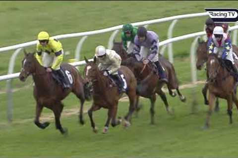 GIOVINCO another potential smart performer for Lucinda Russell