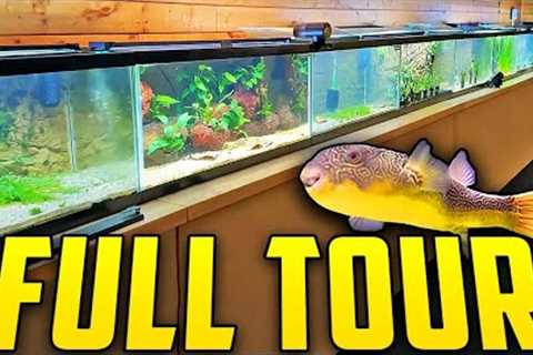 Real Life Updates On Every Aquarium in the Fish Room