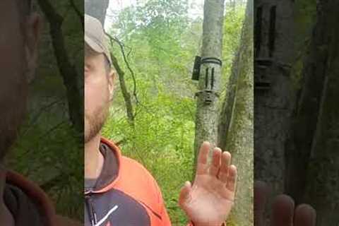 Spring Trail Camera Tip