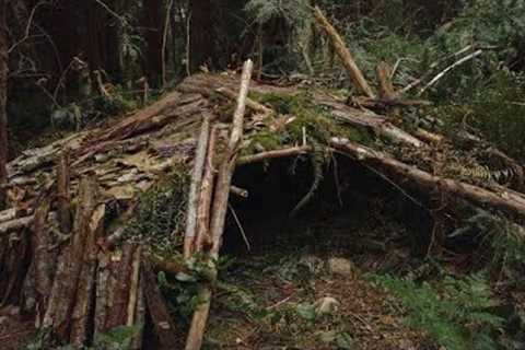 survival shelter camping trip in the forest cooking amazing 🥰😘😍😎😋