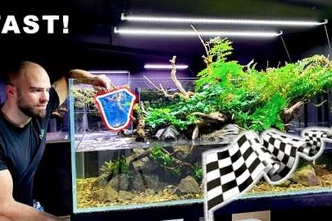 *FAST* FISH ADDED to RIVER AQUARIUM!! CRAZY SCHOOLING BEHAVIOUR || MD FISH TANKS