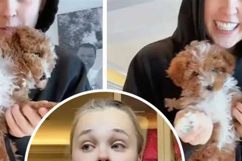 JoJo Siwa Reveals Her Puppy Was Killed in Accident: 'My Heart Hurts'