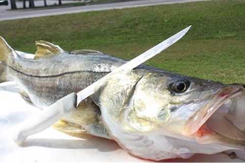 THE ONLY FISH THAT RESTAURANTS DON'T SELL YOU!! Catch Clean Cook Snook (BEST SNOOK RECIPE)