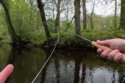 Fly Fishing on the River Doon with Davie McPhail