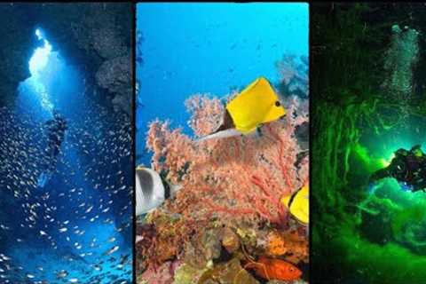Exploring the Wonders of the Underwater World: A Scuba Diving Adventure