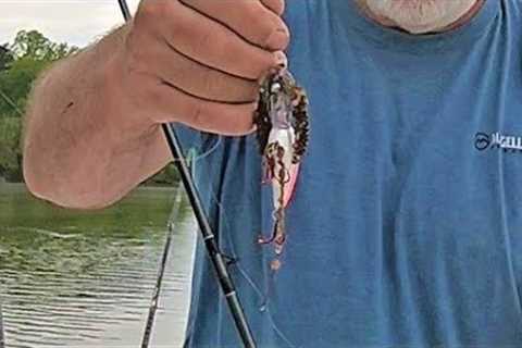 Fishing Lake Brandt With Crankbaits After the Rain