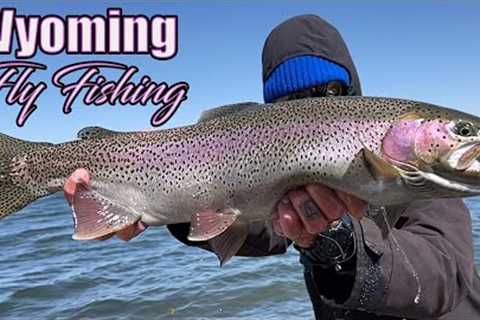 NONSTOP ACTION - Fly Fishing WYOMING for GIANT TROUT