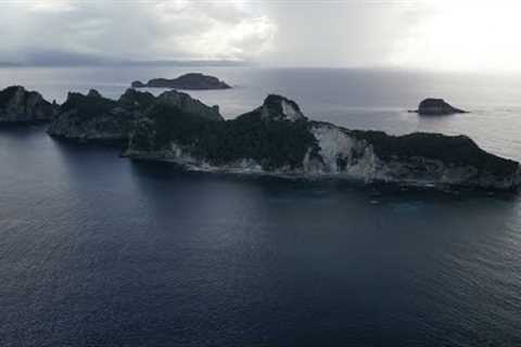 Scuba diving the Aldermen Islands New Zealand Part 2