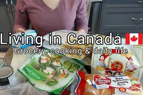 Daily life in Canada | Grocery shopping | A lot of cooking | Rice cake | Spring rolls | Burger