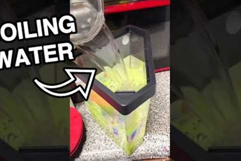 the CRAZIEST way to do a water change | Fish Tank Review 194