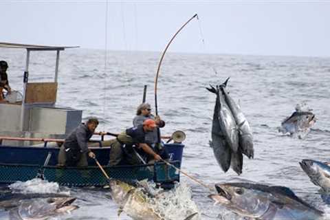 Most Satisfying Longline Fishing Swordfish Skill - Big Catch Tuna Or Marlin Strongest on The Sea #02