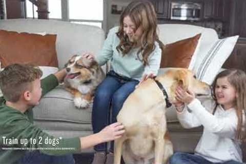 Best Tech Gadget for Your Pets 2023 | Losh Tech | Tech | Technology