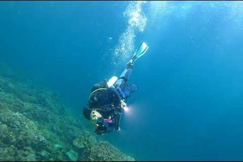 Scuba Diving, a thrilling experience at Phi Phi Cabana Diving.
