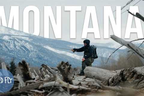 Spring Fly Fishing Montana: In Search of the Famous Skwala Hatch