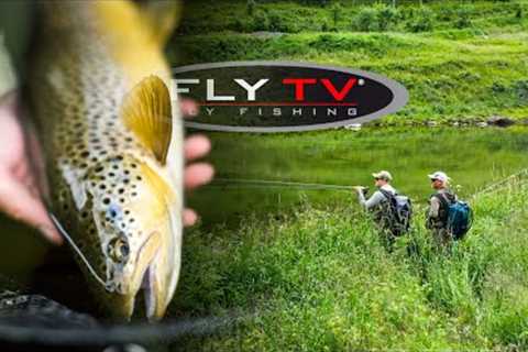 FLY TV - Dry Fly Fishing &amp; Rising Trout in Norway