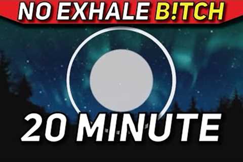 Hamza 20 Minute Meditation Breathing Exercise with Calm Ending