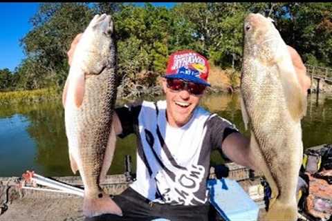 Whiting vs Redfish Catch n’ Cook! Which tastes better??
