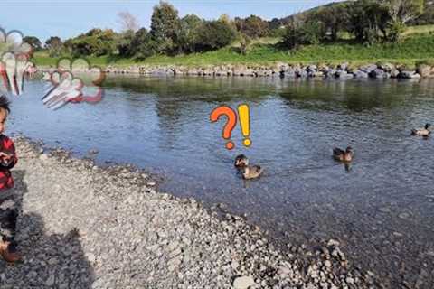 Saturday Market/Riverbank and Grocery Shopping in NZ | Our Family Life In New Zealand