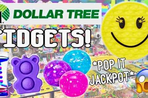 Fidget Shopping at Dollar Tree!🤑 *LEGENDARY POP ITS &amp; FIDGETS* No Budget Fidgets Shopping..