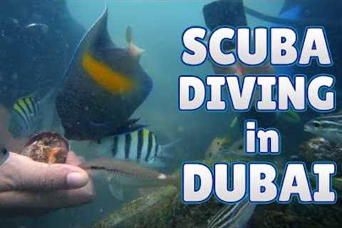 Scuba Diving in Dubai - Bermuda Diving Center
