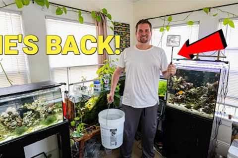 The Bedroom FISHROOM TOUR You've Been Waiting For!
