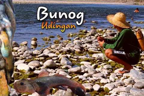 catch and cook BUNOG fish in the river |life in the Philippines Countryside Episode 5