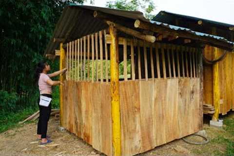 Building Wooden Walls For Kitchen, iron roof, Make Door And Window, BUILD LOG CABIN - My Bushcraft