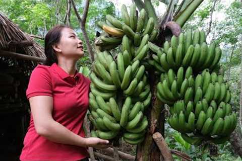 Harvesting Banana Goes to the market sell - help PRIMITIVE SKILLS take care of the Farm