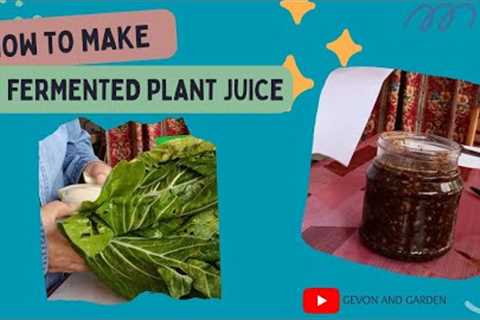 HOW TO FERMENT PLANT JUICE  [ENG/MALAY]