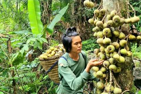 Harvesting natural fruits, Catching stream fish, Survival skills @survivalalone6001