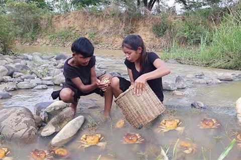 Survival in forest: Catch crab in river for survival food - Cooking crab with chili sauce for dinner