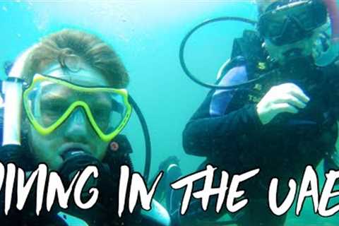 Scuba diving with sharks in the UAE!