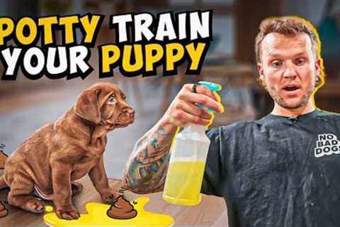 How To Potty Train A PUPPY In 5 Minutes! QUICKEST RESULTS To Train Your PUPPY!