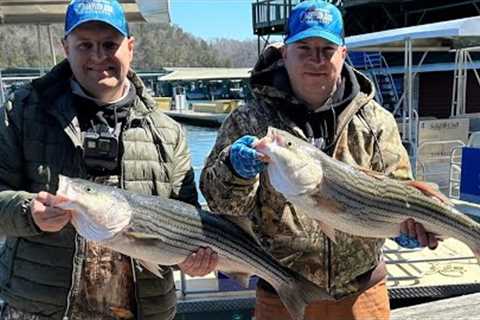 Guided Striper Fishing Trip on Lake Cumberland