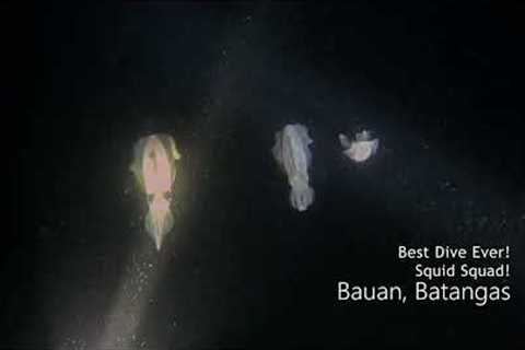 Epic Night Dive | Squid Squad | Creatures of the Night | GoPro | Scuba Diving | Extreme Sports