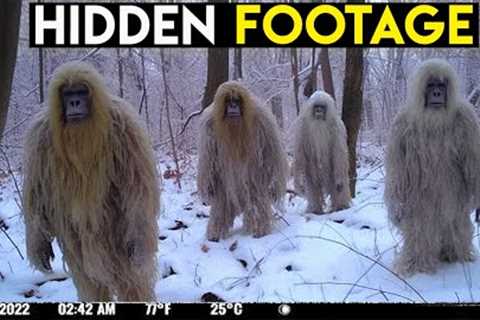 UNCANNY Trail Cam Footage Compilation
