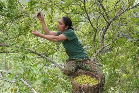 Harvesting Forest Fruits Bringing to the Market to Sell, survival alone