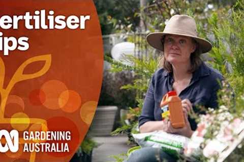 Follow these fertiliser tips for great results in your garden | Gardening 101 | Gardening Australia