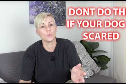 DON'T DO THIS if your dog is SCARED - professional dog training