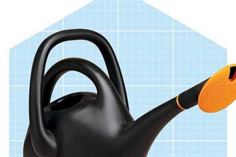 The 5 best watering cans for healthy plants