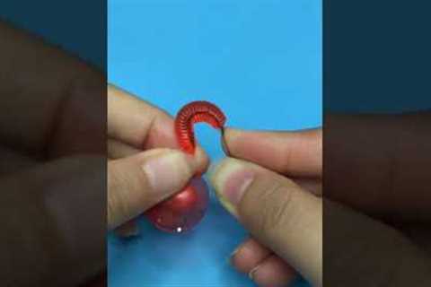 How to Use Worm Jig for Fishing Bait  || Fishing Fake Bait (Easy)