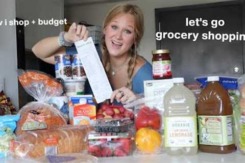 a *realistic* grocery shopping vlog + haul of a 19 year-old living alone