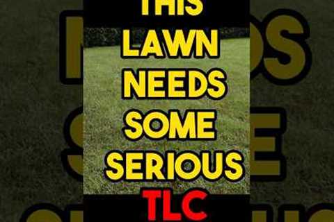 This lawn needed some serious TLC #lawncaretips #lawncare #lawncarecommunity