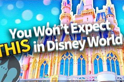 What You SHOULD &amp; SHOULDN'T Expect in Walt Disney World Right Now